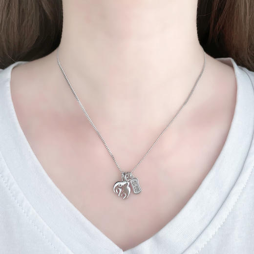 【限时8.8折】【线上铂金馆】PT950 #卡通 #福象系列 铂金空心调节纳福牌卡通吉象Q萌墩墩象套链(PTTL00228)预售产品下单后不退款不退货不换货不补差价) 商品图3