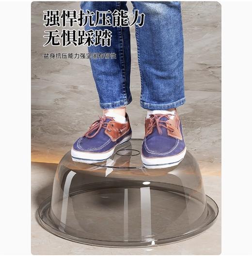 【JL】塑料盆 中号 商品图2