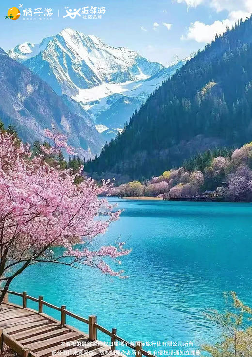 【嗨玩九寨】双飞一动纯玩6天 商品图1