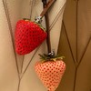 tb草莓挂件！莓有烦恼！ 商品缩略图8
