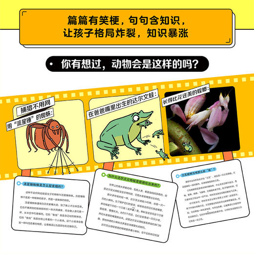 《谢耳朵漫画·动物大爆炸》全5册   8岁+  18大主题、170+种动物、1000+科普知识  看起来不可思议却真实存在的动物科普 一边哈哈大笑，一边猛涨知识，让孩子爱上科普！ 商品图3