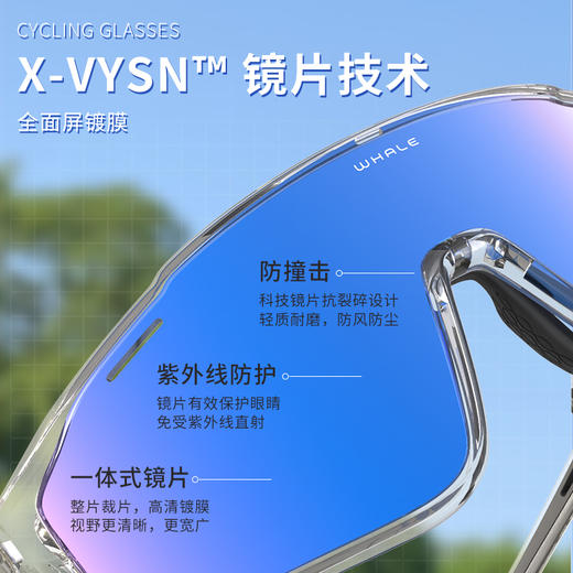 鲸鱼R13骑行近视镜眼镜防风防紫外线自行车护目新款护目镜 商品图3