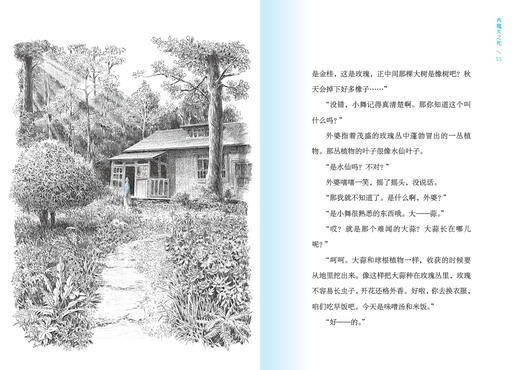 西魔女之死  〔日〕梨木香步/著  （8~14岁）治愈书 治愈文学 植物治愈 心理疗愈 祖孙亲情 成长小说 外婆的道歉信 勿忘我 魔法象 广西师范大学出版社 商品图4