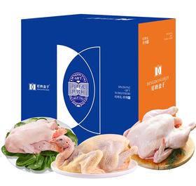 2025 叮咚盒子 鸡鸭礼盒