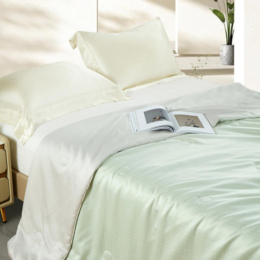 金丝莉 新竹被JB-1329/JB-1330 商品图1