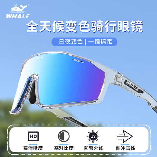 鲸鱼R13骑行近视镜眼镜防风防紫外线自行车护目新款护目镜 商品图0