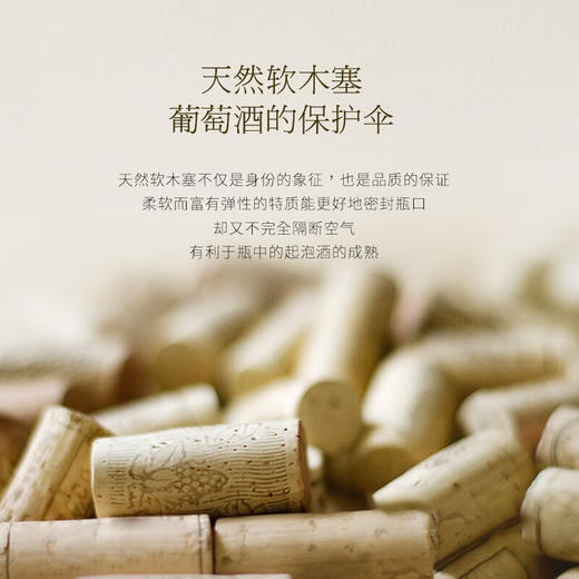 【四代传承 ▏传统香槟法】菲特瓦威格罗特起泡酒 南法特色白气泡 11%vol 商品图4
