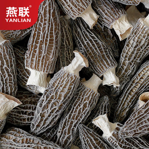 【广州帮扶】燕联丨羊肚菌 60g 商品图1