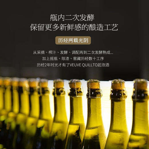 【四代传承 ▏传统香槟法】菲特瓦威格罗特起泡酒 南法特色白气泡 11%vol 商品图3