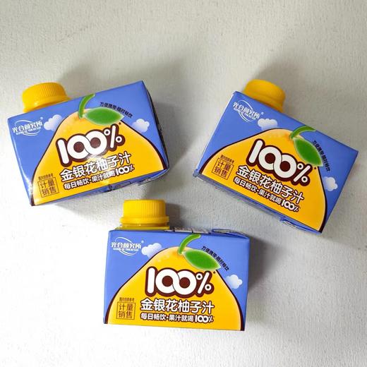 光合颜究所金银花柚子夏黑葡萄叶黄素酯胡萝卜汁莲子苹果四神汤 商品图3