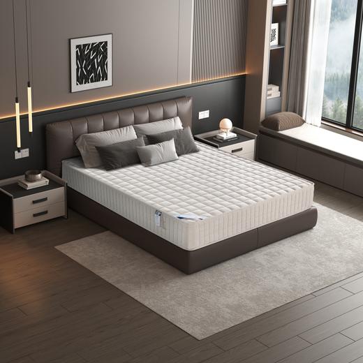 自然醒华夫格弹簧椰棕床垫五星级专用天然乳胶席梦思床垫弹簧垫黄麻3D丝软硬垫子SA 商品图2