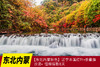 10.7确定出发【东北内蒙秋色】辽宁本溪红叶•奈曼旗沙漠•怪柳摄影8天 商品缩略图0