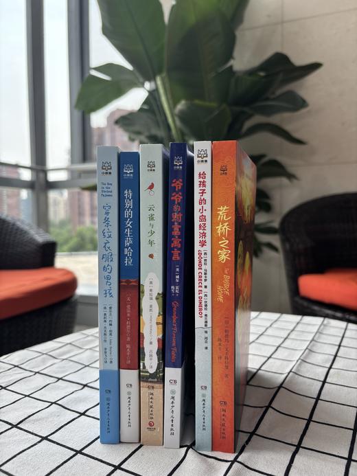 9岁+ 丹妈精选暑期儿童文学6册：小岛的经济学+爷爷的财富寓言+云雀与少年+穿条纹衣服的男孩+特别的女生萨哈拉+荒桥之家 博集 商品图2
