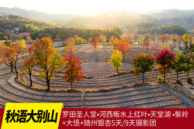 11.3确定出发【秋语•大别山】罗田圣人堂•河西畈水上红叶•天堂湖 •鬃岭+大悟+随州银杏5天/9天摄影团