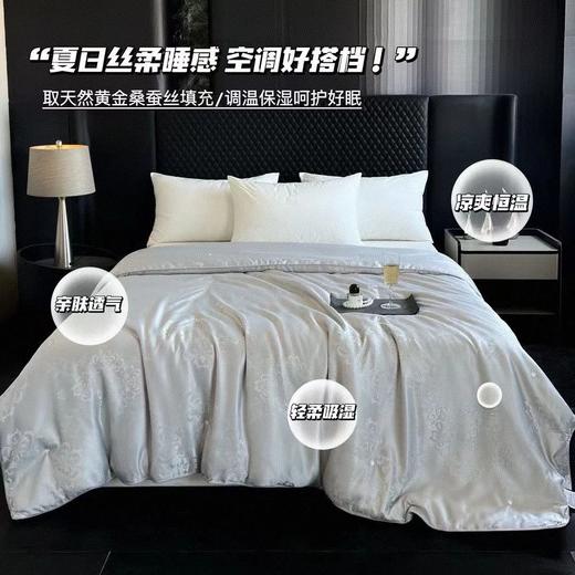 黄金丝蚕丝被，亲肤舒爽，冬暖夏凉，不是所有桑蚕丝都叫黄金蚕丝 商品图0