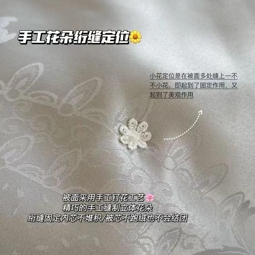 黄金丝蚕丝被，亲肤舒爽，冬暖夏凉，不是所有桑蚕丝都叫黄金蚕丝 商品图4