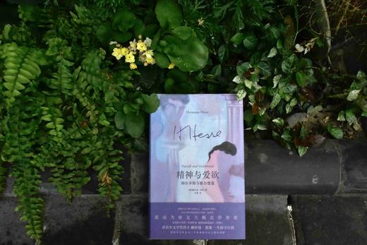 精神与爱欲：纳尔齐斯与歌尔德蒙 [德]黑塞/著 黑塞 精神与爱欲 纳尔齐斯 歌尔德蒙 纳歌 好嗑 诺贝尔文学奖 广西师范大学出版社 商品图3