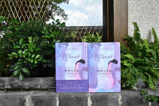 精神与爱欲：纳尔齐斯与歌尔德蒙 [德]黑塞/著 黑塞 精神与爱欲 纳尔齐斯 歌尔德蒙 纳歌 好嗑 诺贝尔文学奖 广西师范大学出版社 商品图6