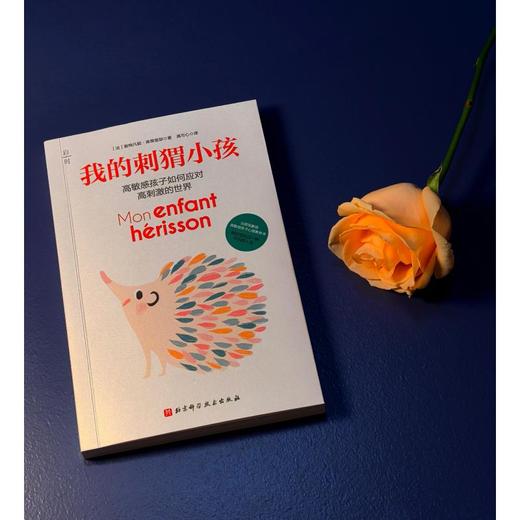 我的刺猬小孩 商品图3