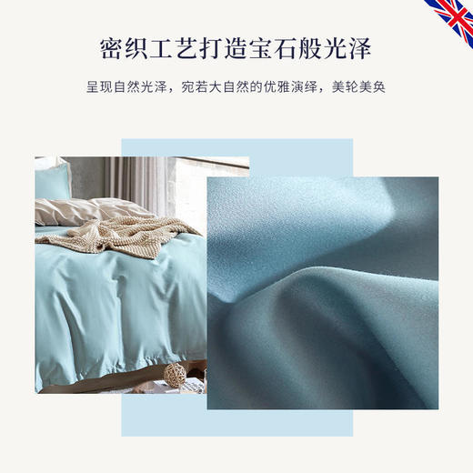 【特价秒杀】英国DownlandWhisper密语纯棉四件套 商品图1