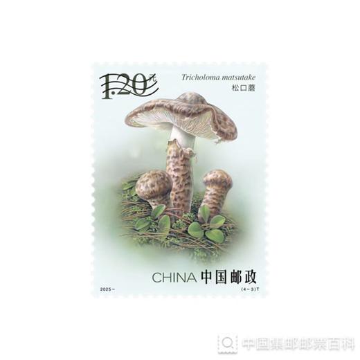 《食用菌（二）》邮票1套4枚 4套 限购1份 商品图3