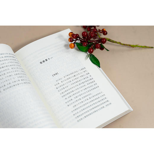 韩非子评注 [战国]韩非著 李平评注 法律出版社 商品图4