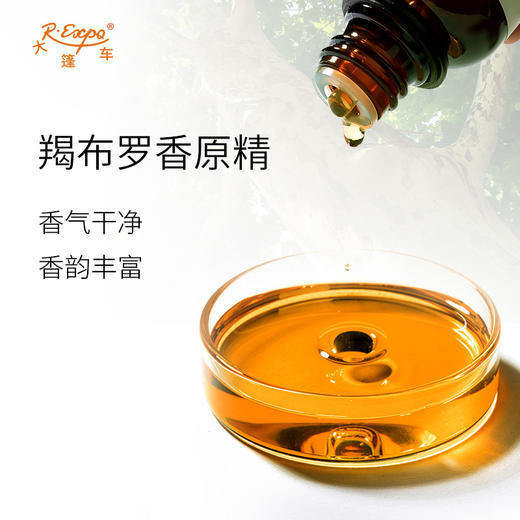 羯布罗香原精 Dipterocarpus Turbinatus 印度直采 原料批发芳疗 商品图1