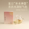 御六气三伏套组 | 2025年三伏季30天排寒方案 穴位贴 暖背贴 黄芪苹果茶 轻湿湿足浴汤 少点盐 商品缩略图5