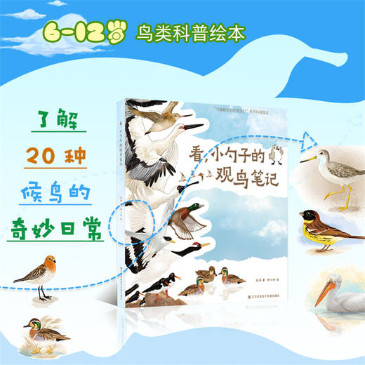 看小勺子的观鸟笔记  走跟着候鸟去旅行 鸟类科普绘本 3-6 幼儿园亲子读物 儿童绘本 将科普知识融入候鸟迁途 商品图3