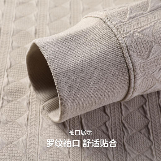 圣得西2025年秋季新款多色提花工艺休闲百搭男士圆领T恤长袖上衣 商品图8