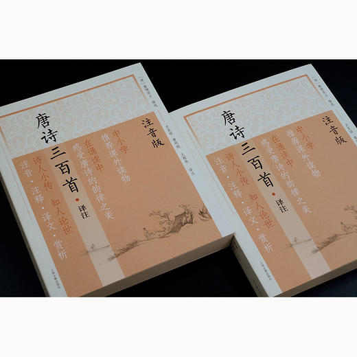 唐诗三百首译注(注音版) 商品图2