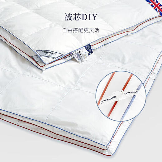 DownlandClima微控温复合鹅绒被 商品图3