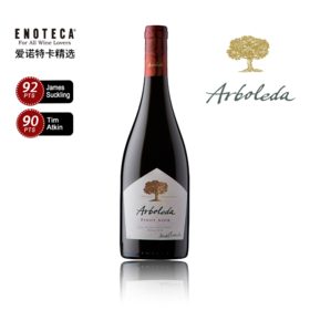 珍木黑皮诺红葡萄酒  2023 ARBOLEDA PINOT NOIR 750ml