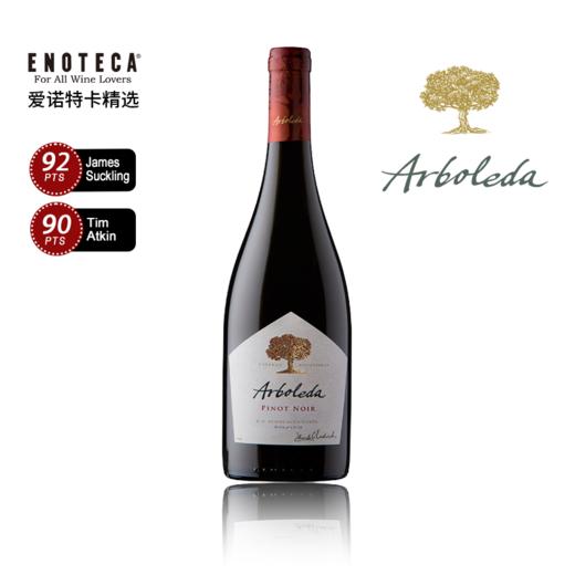 珍木黑皮诺红葡萄酒  2023 ARBOLEDA PINOT NOIR 750ml 商品图0
