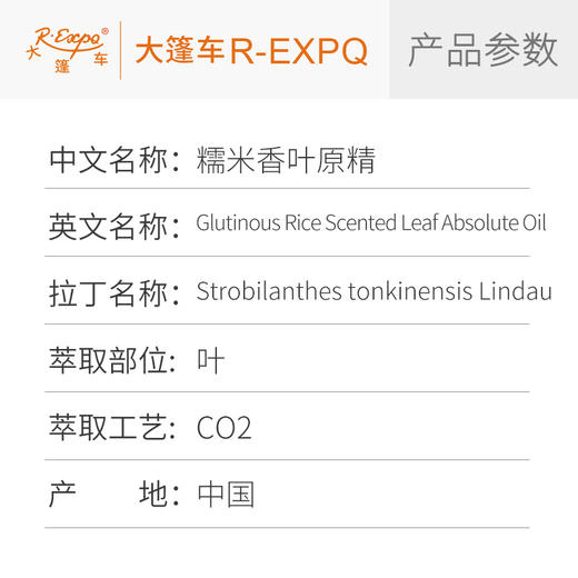 糯米香叶原精 Strobilanthes Tonkinensis Lindau  产地直采批发 商品图2