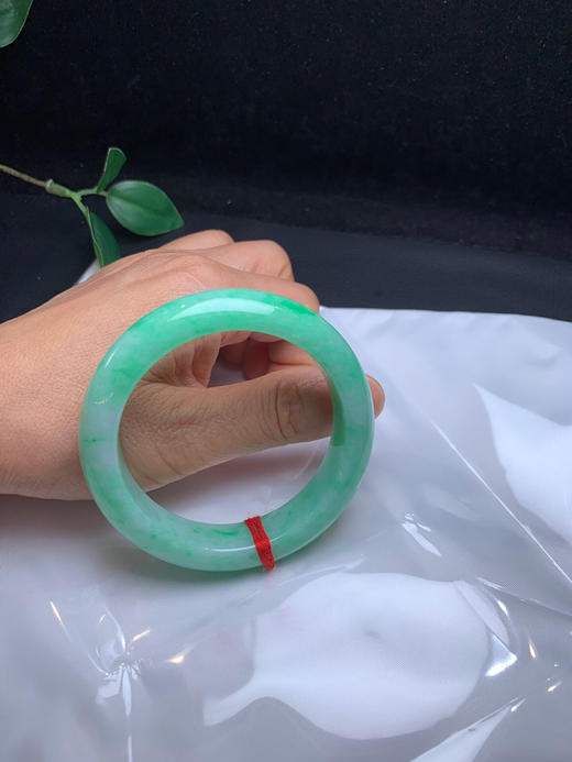 620455，54.3满果绿正圈，满绿底，清新干净 色好干净有水头 商品图5