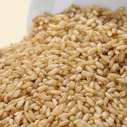 【沙垦庄园】发芽糙米·500g 商品图4