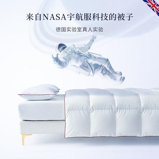 DownlandClima微控温复合鹅绒被 商品图1