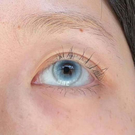 Recolook 半年抛 cos片 冰冷雪豹 直径14.5mm 商品图5