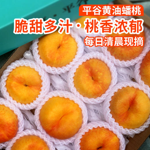 平谷黄油蟠桃礼盒  新鲜采摘  脆甜多汁  桃味浓郁  应季尝鲜 商品图0