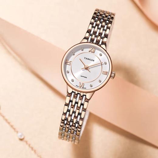 瑞士天珺女表T1066LHWFB 商品图0