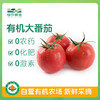 有机大番茄500g 商品缩略图0