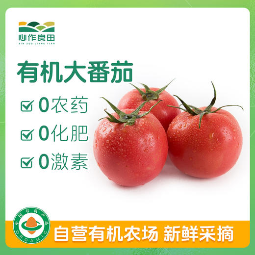 有机大番茄500g 商品图0