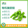 有机皱皮椒500克 商品缩略图0