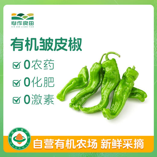 有机皱皮椒500克 商品图0