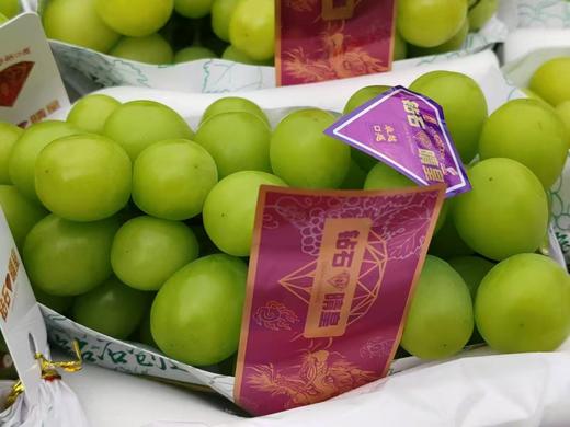 【会员32.5/斤】云南钻石晴皇阳光玫瑰青提 特级 商品图4