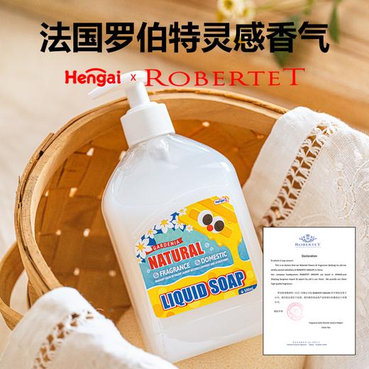 【分销】哼爱香氛家用皂液，弱碱性配方，呵护你的双手，法国罗伯特香水公司高级调香师独特调香，打造属于您的私人香氛衣橱持久留香 商品图2