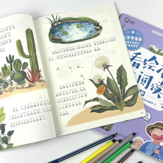 入学早准备 给孩子的语文素养启蒙课： 看绘本，练阅读（上下册） 常青藤爸爸 /著 4-7岁 神秘岛 广西师范大学出版社 商品图7