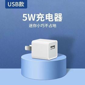 5W快充充电器 适用苹果13/12 ipad充电头 苹果/盒