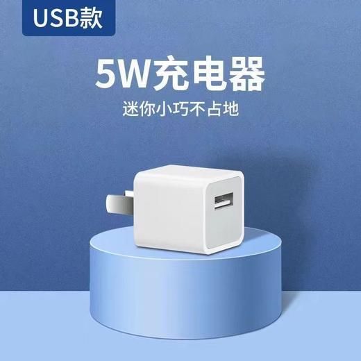 5W快充充电器 适用苹果13/12 ipad充电头 苹果/盒 商品图0